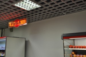 dsc_0005.cKq6G.jpg